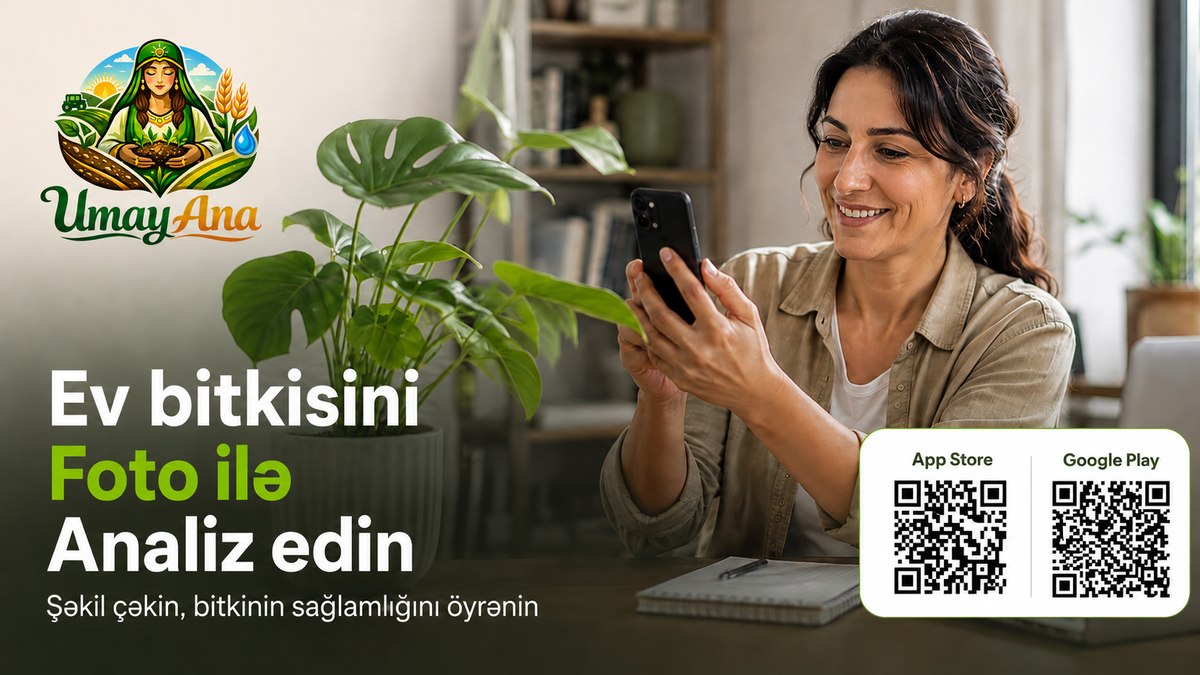 Umay Ana - Ev bitkisini foto ilə analiz edin