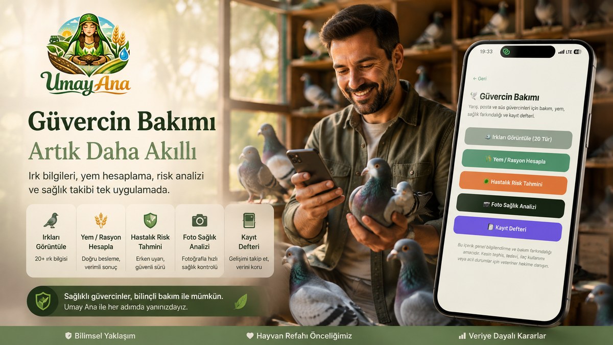 Umay Ana - Güvercin bakımı modülü