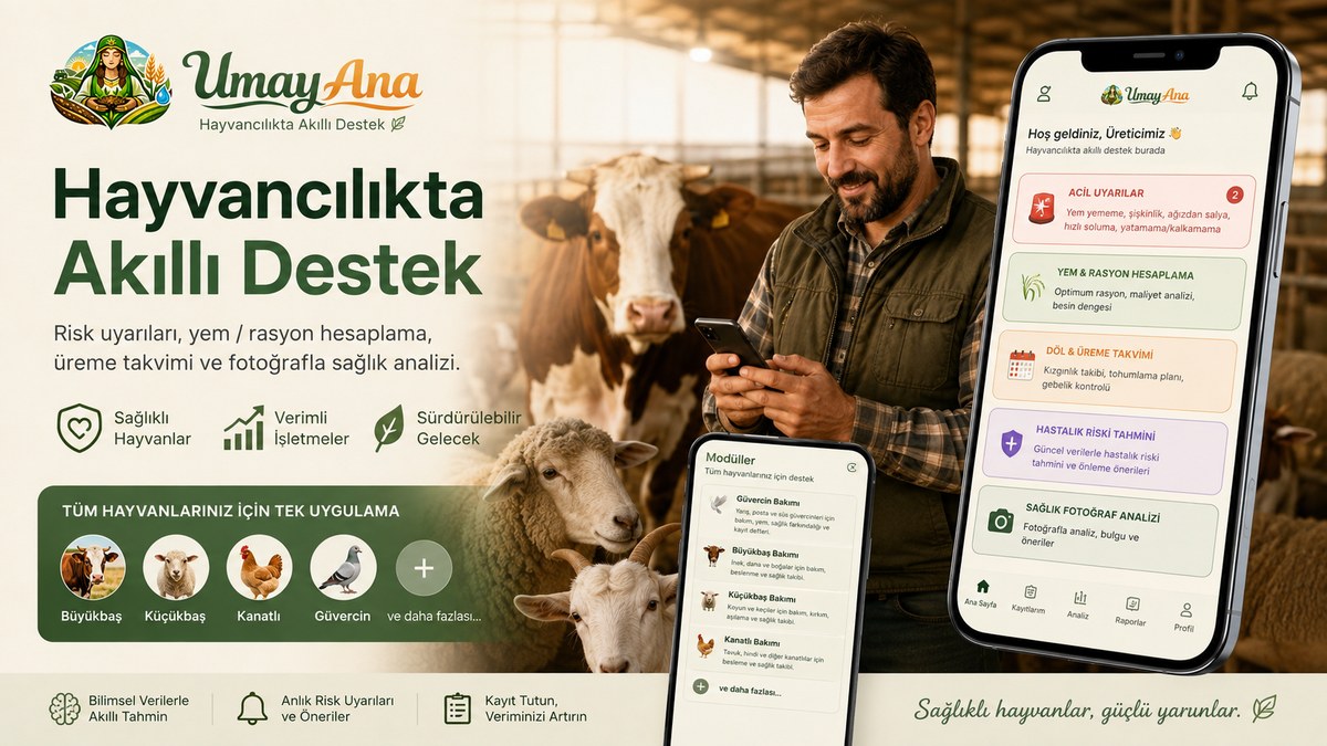 Umay Ana - Hayvancılıkta akıllı destek